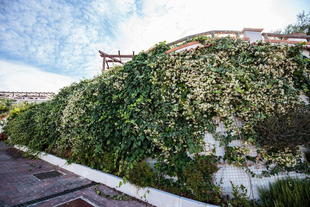 Holiday Lodge al Porto Mattinata Exterior foto